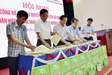 Phú Thọ đẩy mạnh truy xuất nguồn gốc và chuẩn hóa chất lượng sản phẩm hàng hóa