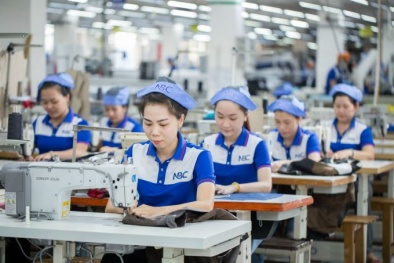 Dệt may Việt Nam: Khi Lean, 5S và ISO trở thành “vũ khí” cạnh tranh