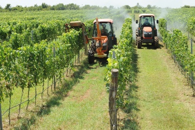 Lâm Đồng đẩy mạnh áp dụng tiêu chuẩn, nâng cao năng suất chất lượng doanh nghiệp giai đoạn 2026–2030