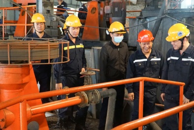 Từ sức ép thị trường đến cú hích số hóa