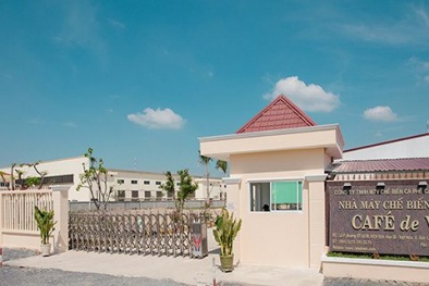 Kết hợp ISO 22000 và HACCP trong ngành thực phẩm: Tăng năng suất, giảm rủi ro