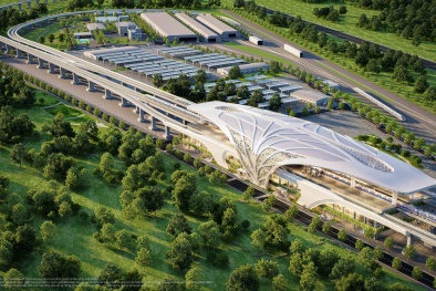 Khám phá cung đường chạy đẹp nhất Việt Nam: Băng rừng di sản, xuyên 'kỳ quan đô thị biển' tại Cần Giờ