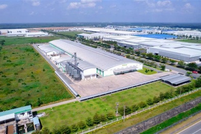 Doanh nghiệp thực phẩm hướng vào TFP và chuẩn hóa làm thước đo phát triển