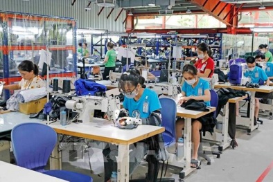 Ngành dệt may nâng cao năng suất nhờ tiêu chuẩn Oeko-Tex và RCS