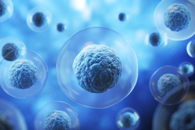 Chuẩn hóa phương pháp đếm tế bào gốc: Bước tiến nâng cao độ chính xác trong y học tái tạo