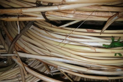 TCVN 14548:2025 về phân loại và phân hạng mây nguyên liệu