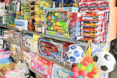 TCVN 13992:2024 hướng dẫn thu thập, lưu trữ thông tin truy xuất nguồn gốc đồ chơi trẻ em