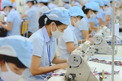 Đào tạo nội bộ và nâng cao kỹ năng - 'đòn bẩy' tăng năng suất dài hạn