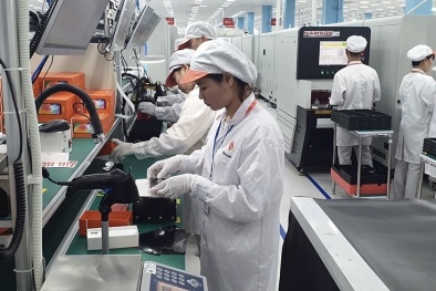 Hoàn thiện quy trình, nâng chất lượng quy chuẩn kỹ thuật