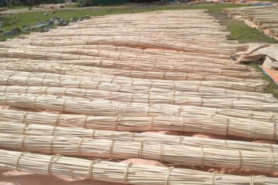 TCVN 14548:2025 chuẩn hóa chất lượng mây nguyên liệu