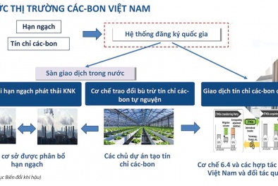 Thị trường car-bon Việt Nam: 'Luật chơi' mới và bài toán năng lực của doanh nghiệp