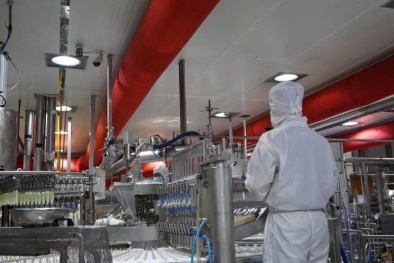 Tối ưu hóa quy trình sản xuất trong ngành thực phẩm: Hướng đi giảm chi phí, tăng năng suất