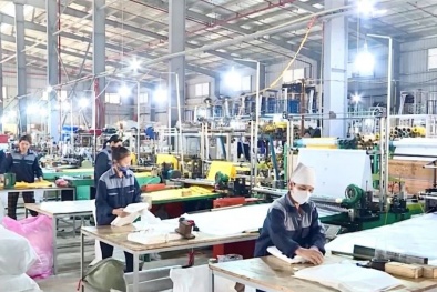 Chuyển đổi xanh - hướng đi tất yếu của doanh nghiệp trong bối cảnh mới