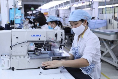 Minh bạch hóa hoạt động thông báo và hỏi đáp về hàng rào kỹ thuật trong thương mại