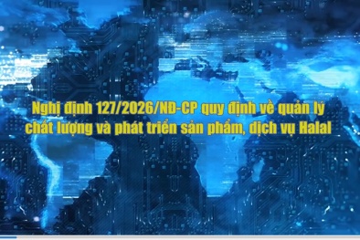 Nghị định 127: 'Tấm hộ chiếu' chinh phục thị trường nghìn tỷ USD