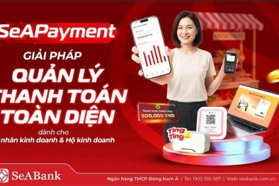 SeAPayment - Nền tảng quản lý thanh toán giúp chủ shop kiểm soát dòng tiền theo thời gian thực