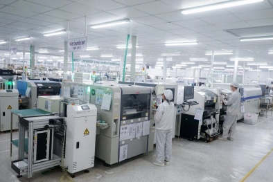 SME và cuộc đua chuyển đổi kép