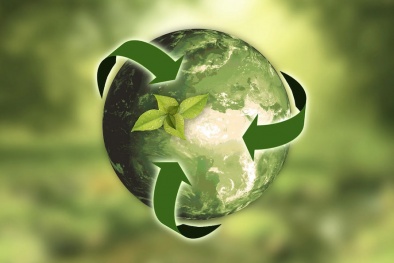 TCVN ISO 14068-1:2025 về chuyển đổi phát thải ròng bằng không - trung hòa carbon