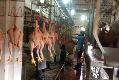 Cảnh báo nguy cơ mất an toàn thực phẩm, ô nhiễm môi trường từ cơ sở giết mổ nhỏ lẻ tại Hà Nội