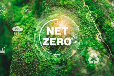 Cuộc đua 'Net Zero' và áp lực lên hạ tầng khu công nghiệp