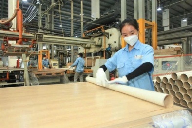 Nâng cao năng suất: Bắt đầu từ những cải tiến nhỏ 