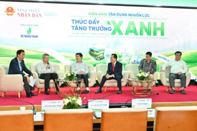 Hoàn thiện nguồn lực tài chính thúc đẩy tăng trưởng xanh