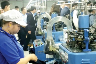 Chuyển đổi số và xanh hóa mở hướng nâng cao năng suất, gia tăng giá trị