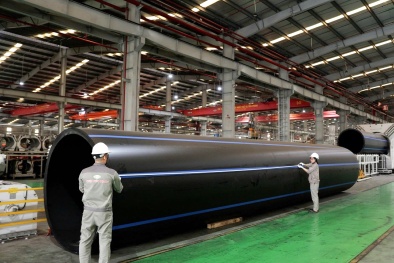 Hải Phòng thúc đẩy năng suất, chất lượng dựa trên khoa học, công nghệ và đổi mới sáng tạo