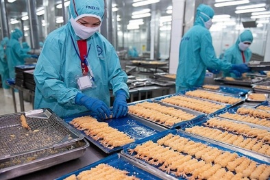 Tự chủ nguyên liệu – “mắt xích gốc” giữ chất lượng hàng xuất khẩu ổn định