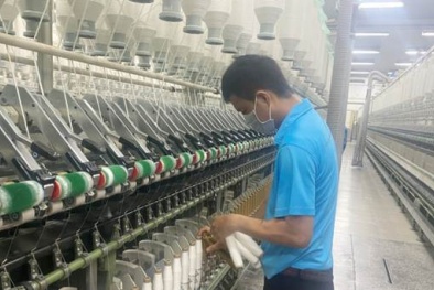 Kết hợp 5S, TPM và ISO 9001:2015: ‘Chìa khóa vàng’ giúp doanh nghiệp dệt may vượt bão thị trường