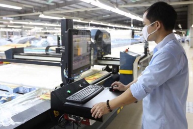 Thúc đẩy đổi mới sáng tạo từ nền tảng tiêu chuẩn