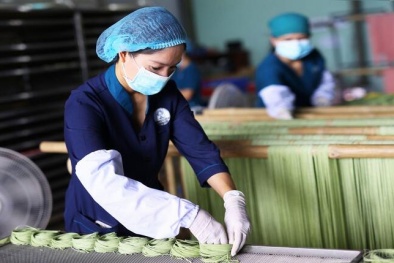Từ chính sách đến thực tiễn: Nâng tầm năng suất doanh nghiệp Việt