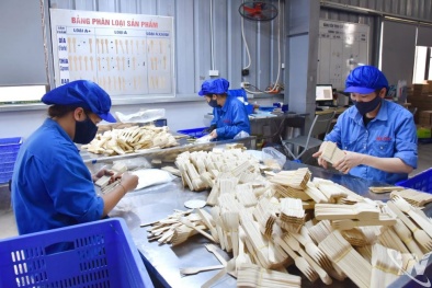 Tối ưu môi trường làm việc để nâng năng suất