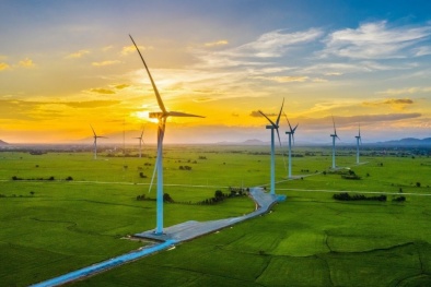 TCVN 10687-25-6:2025 về mô hình thông tin giám sát và điều khiển hệ thống điện gió