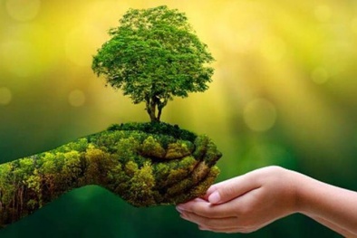 Chuyển đổi xanh: Từ cam kết đến áp lực sống còn của doanh nghiệp