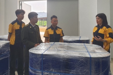 Đẩy mạnh chế biến sâu, nâng cao năng suất sản phẩm xuất khẩu của Quảng Ninh