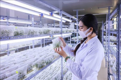 Tổ chức chuỗi hoạt động chào mừng Ngày Khoa học, Công nghệ và Đổi mới sáng tạo Việt Nam 2026 