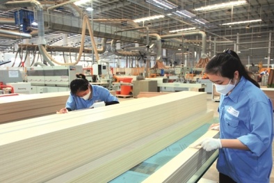 Năng suất trong ngành gỗ: Khi doanh nghiệp 'số hóa từng tấm ván' để đi xa hơn thị trường xuất khẩu