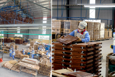 Doanh nghiệp gỗ Việt đẩy mạnh áp dụng tiêu chuẩn FSC để nâng năng suất và mở rộng thị trường