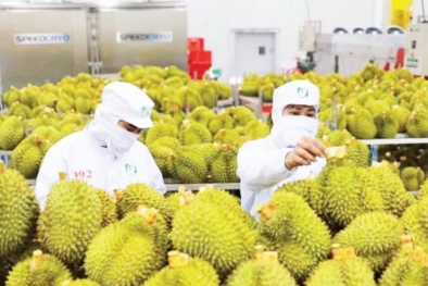 Gia tăng kiểm soát chuỗi cung ứng nông sản