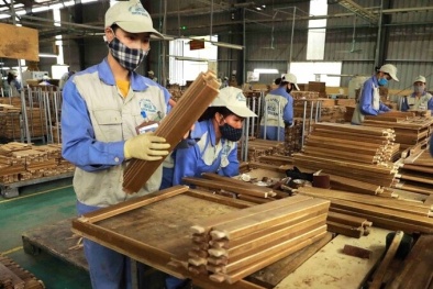 Ngành gỗ chuyển hướng tăng trưởng bằng năng suất và công nghệ