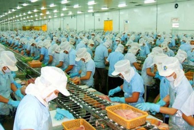 Doanh nghiệp Đồng Tháp chuẩn hóa quy trình thúc đẩy năng suất và chất lượng