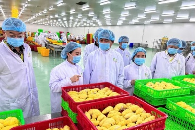 Nông nghiệp Việt Nam trước sức ép chuyển đổi xanh