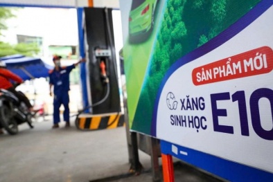 Xăng E10: Bước chuyển tích cực cho người dùng và xu hướng năng lượng mới