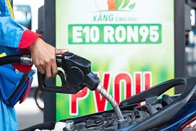 Xăng sinh học E10: Chưa ghi nhận tác động tiêu cực tới động cơ