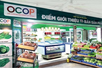 Ban hành bộ tiêu chí và quy trình đánh giá, phân hạng sản phẩm OCOP