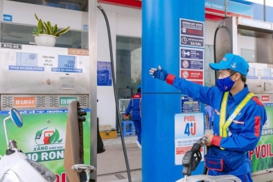 Xăng E10 có thực sự gây hại cho động cơ?