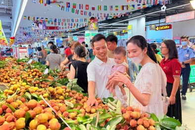 Central Retail đặt mục tiêu tăng trưởng gấp đôi sản lượng tiêu thụ vải thiều Bắc Ninh năm 2026
