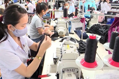 Đồng Nai hỗ trợ nâng cao năng suất chất lượng cho doanh nghiệp giai đoạn 2026 – 2030