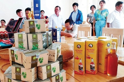 Nâng cao năng suất, chất lượng: Đòn bẩy gia tăng giá trị sản phẩm địa phương